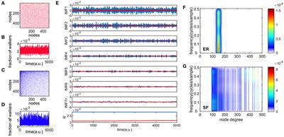 Cross-Frequency Interactions During Information Flow in Complex Brain Networks Are Facilitated by Scale-Free Properties